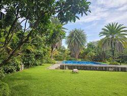Holland Park (D10), Detached #580179291